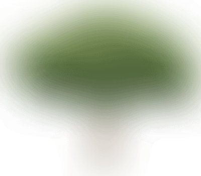 Боярышник сливолистный