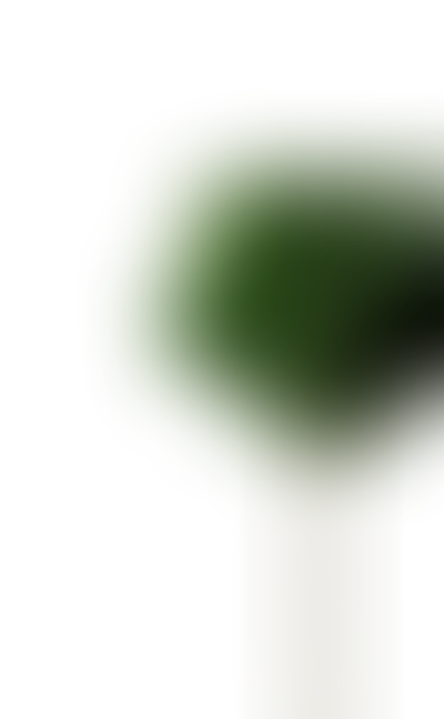 Лавр