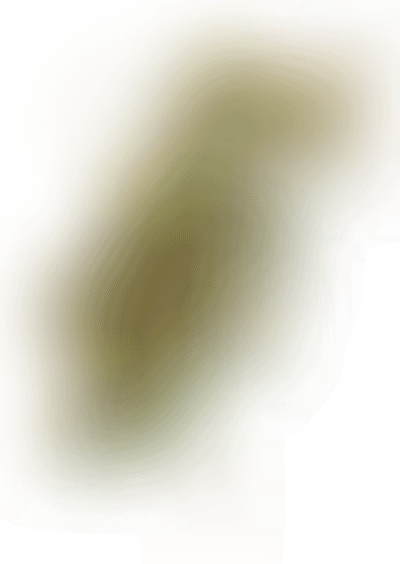 Яблоня «Хиллери»